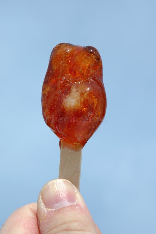 Maple Taffy On A Stick Stock Photo Image Of Canadian Syrup 520228