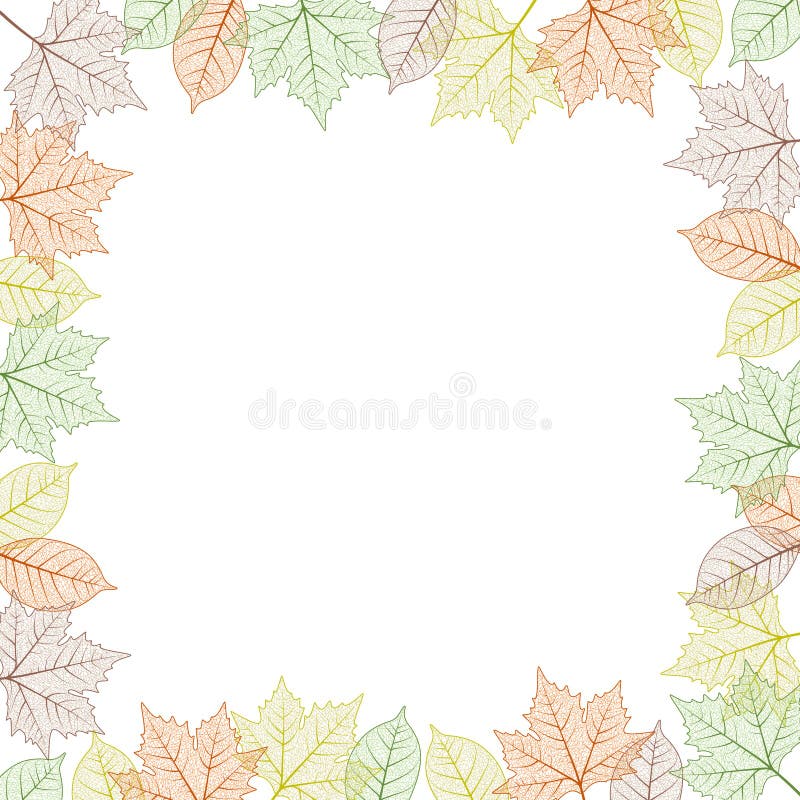 Maple tree leaf frame. Vector illustration. Autumn colors graphic card template square boarder