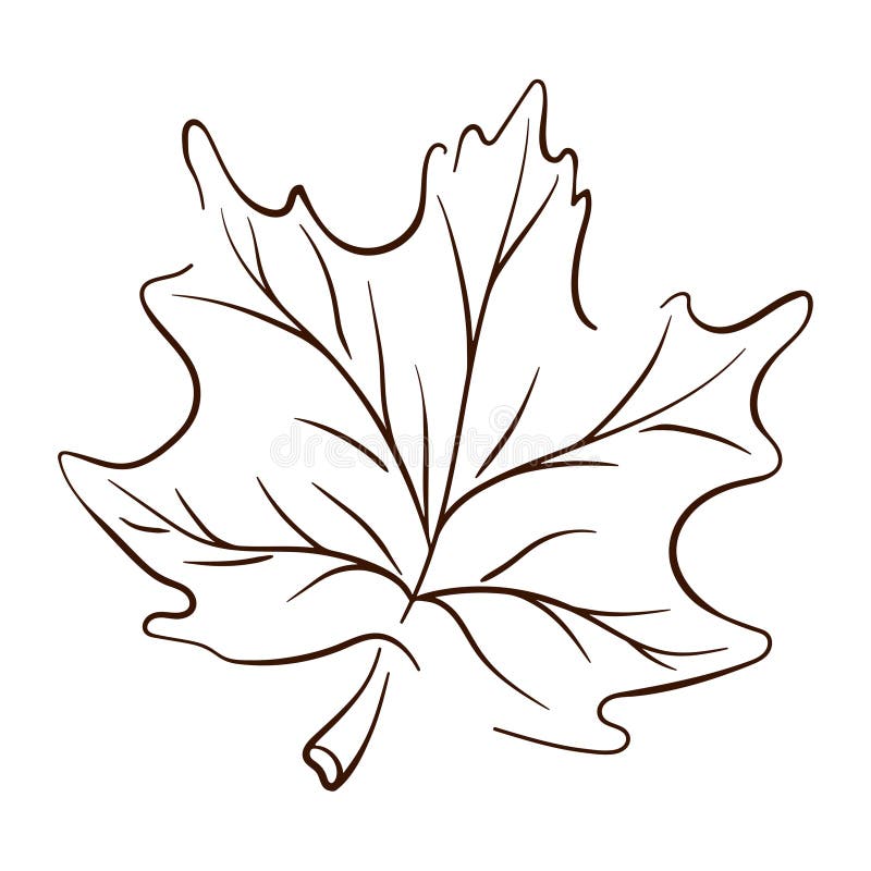 Canada Maple Leaf Outline Images – Browse 5,332 Stock Photos, Vectors, and  Video