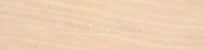 Maple veneer surface with a gentle cascade of creamy hues and subtle wood grain textures royalty free stock photography