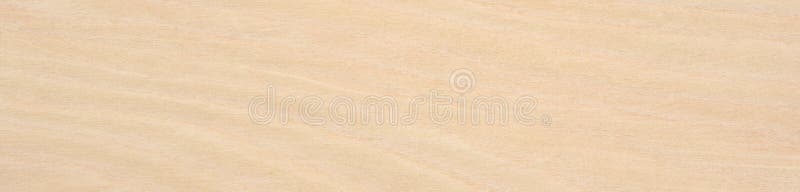 Maple veneer surface with a gentle cascade of creamy hues and subtle wood grain textures royalty free stock photo