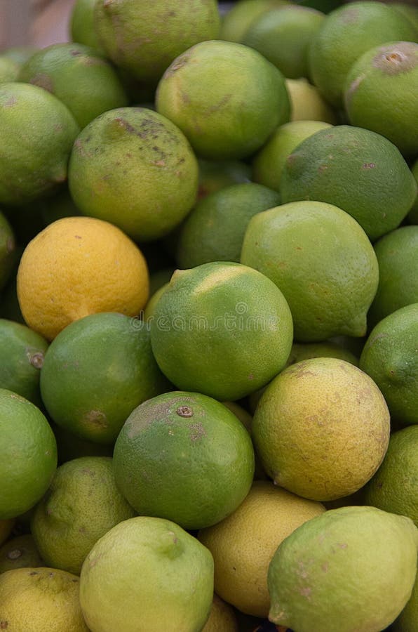 De Grapefruit is Een Hybride Van Sinaasappel En De Pompelmoes, De Smaak