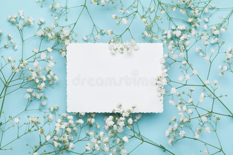 Maqueta de la boda con la lista del Libro Blanco y gypsophila de las flores en la tabla azul desde arriba Modelo floral hermoso e imagen de archivo libre de regalías