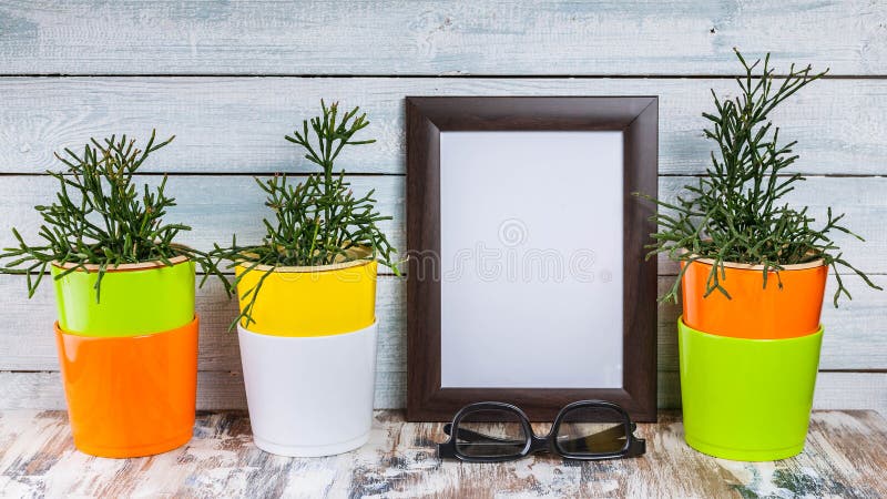 Maqueta de los bastidores y de las plantas vacíos de la foto en potes multicolores en un fondo de madera ligero imagen de archivo Maqueta de los bastidores y de las plantas vacíos de la foto en potes multicolores en un fondo de madera ligero imagen de archivo