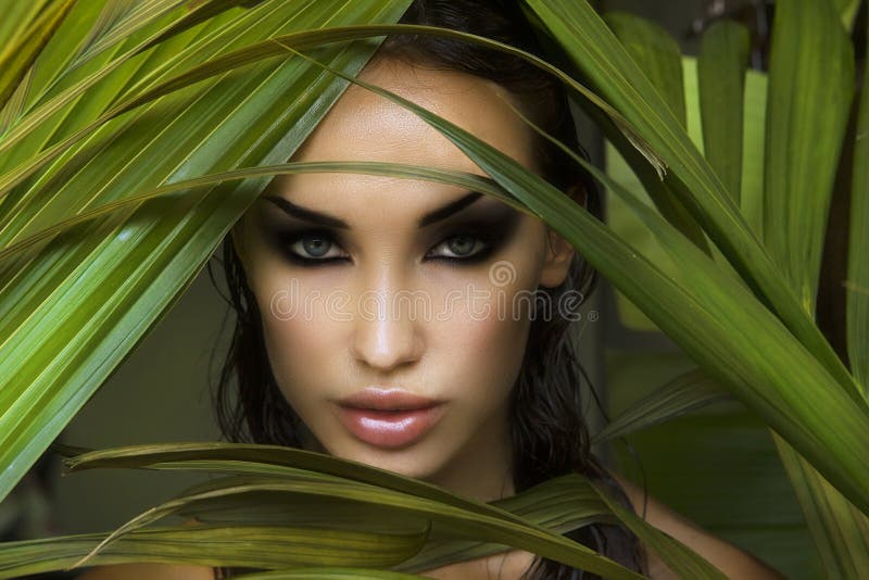 maquillaje Mujer hermosa atractiva que oculta detrás de las hojas de palma beau foto de archivo libre de regalías maquillaje Mujer hermosa atractiva que oculta detrás de las hojas de palma beau foto de archivo libre de regalías