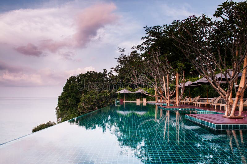 Infinity edge pool ocean view and beautiful landscape design