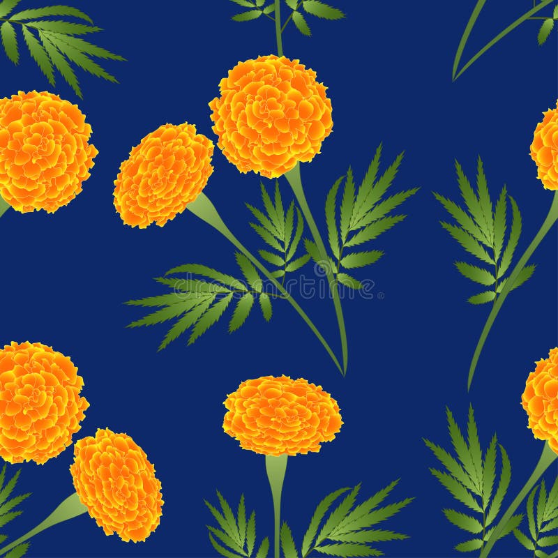 Maravilla anaranjada en fondo de los azules añiles Ilustración del vector stock de ilustración
