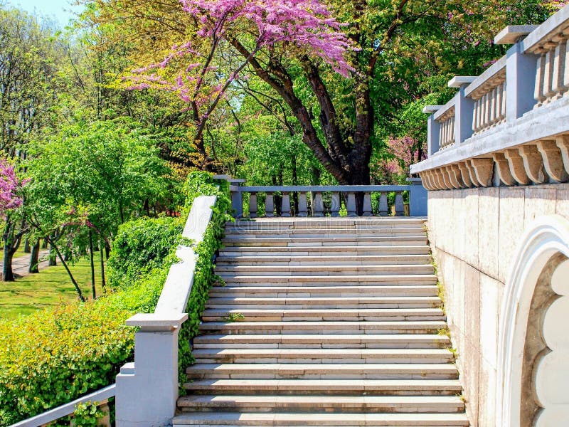 Marbel stairs and parapet in a park with green and purple blossoming trees stock photos Marbel stairs and parapet in a park with green and purple blossoming trees stock photos