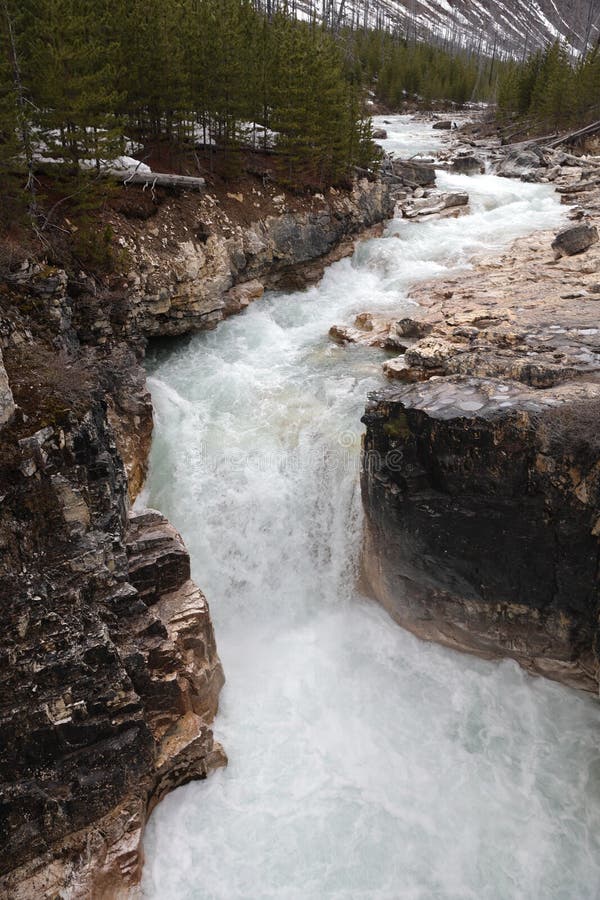 Marble Canyon Kootenay National Park Alberta Canada Stock Image Image