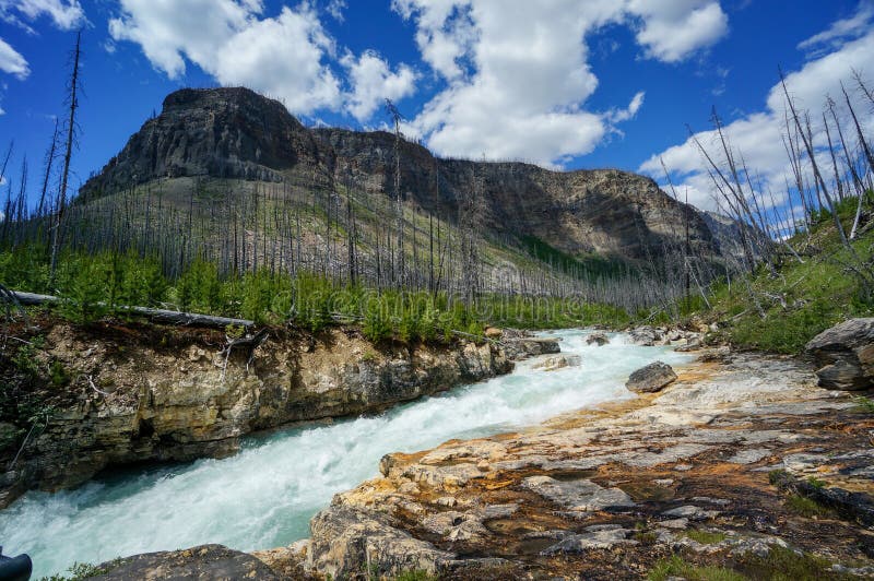 Marble Canyon in Kootenay National Park Stock Image Image of mountain