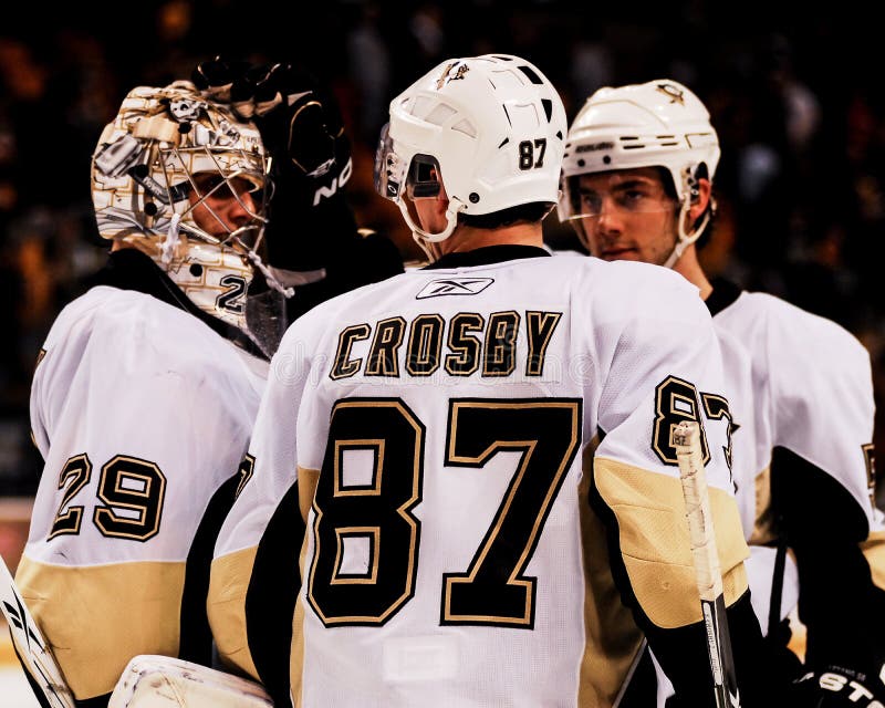 Marc-Andre Fleury et Sidney Crosby, Pittsburgh Penguins images stock Marc-Andre Fleury et Sidney Crosby, Pittsburgh Penguins images stock