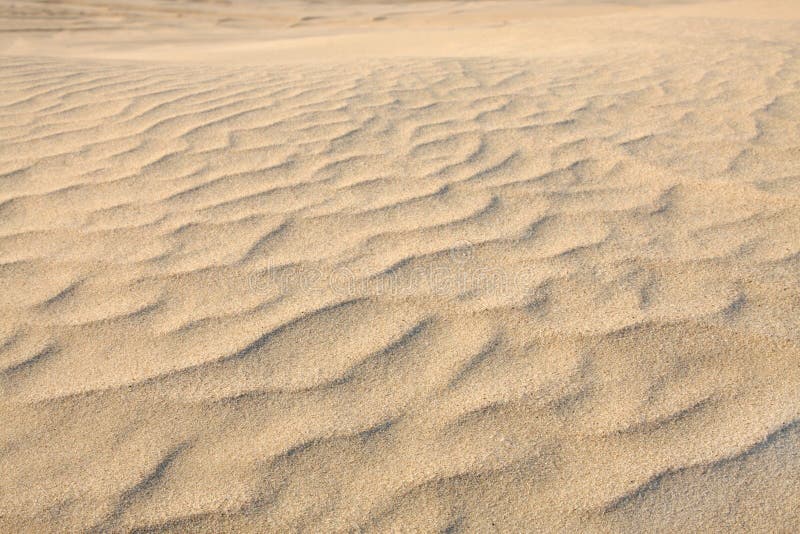 Marcas da ondinha causadas pela ação do vento em dunas de areia foto de stock Marcas da ondinha causadas pela ação do vento em dunas de areia foto de stock