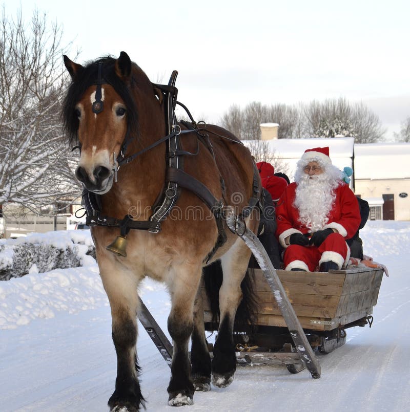 Bonnet Pour Chevaux Collection De Noël - Felix Bühler