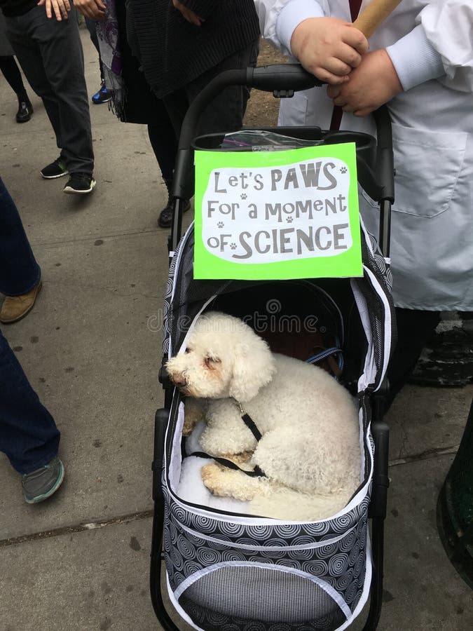 March for Science editorial image. Image of manhattan 91072755