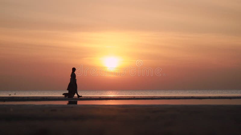 Marche de femme et de chien de corgi le long de la plage de mer sous le ciel au coucher du soleil pendant les vacances. banque de vidéos
