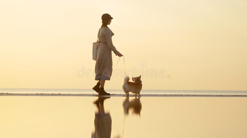 Marche de femme et d'animal le long de la plage de mer ensemble et profiter du style de vie lors d'un voyage. banque de vidéos