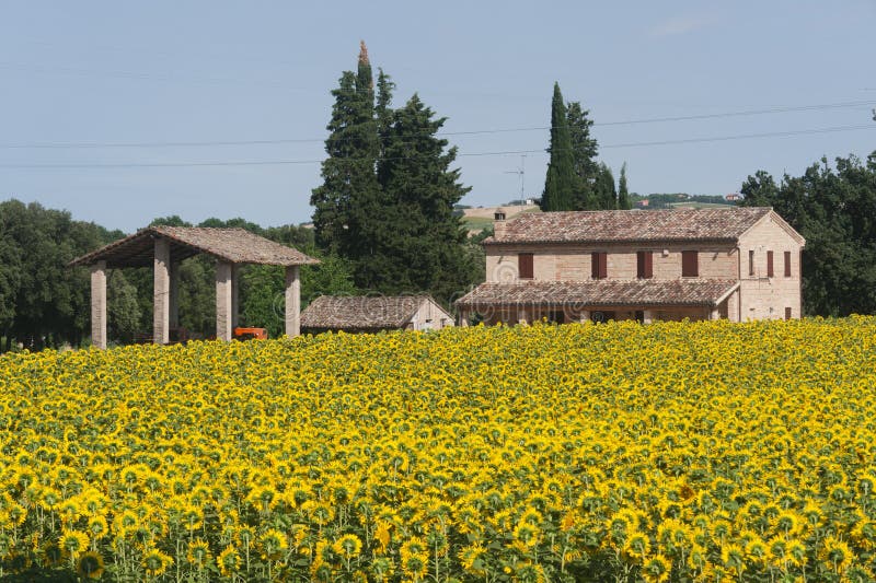 Marches (Italy) - Landscape at summer