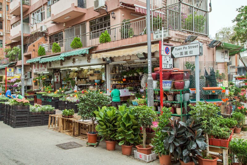 Marché aux fleurs de Hong Kong photographie stock libre de droits