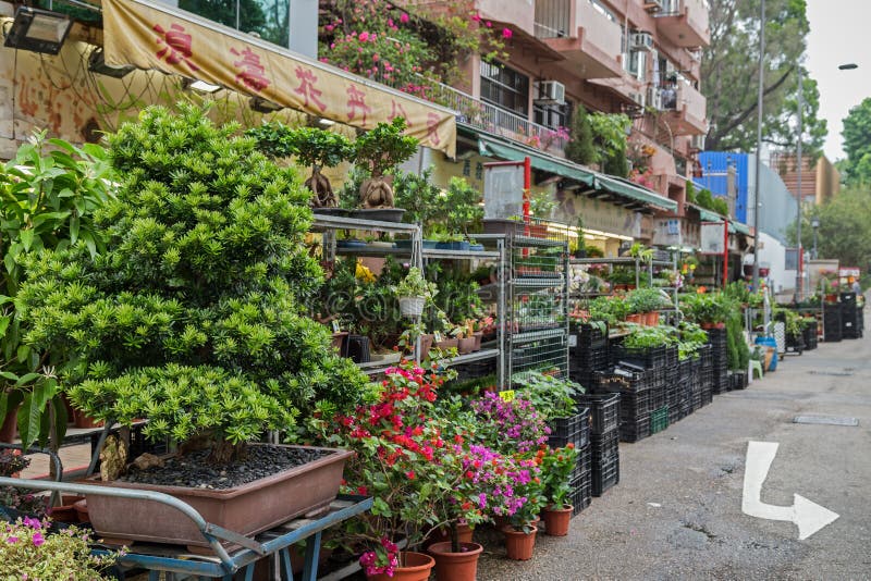 Marché aux fleurs de Hong Kong image libre de droits