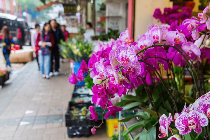 Marché aux fleurs à Hong Kong images libres de droits