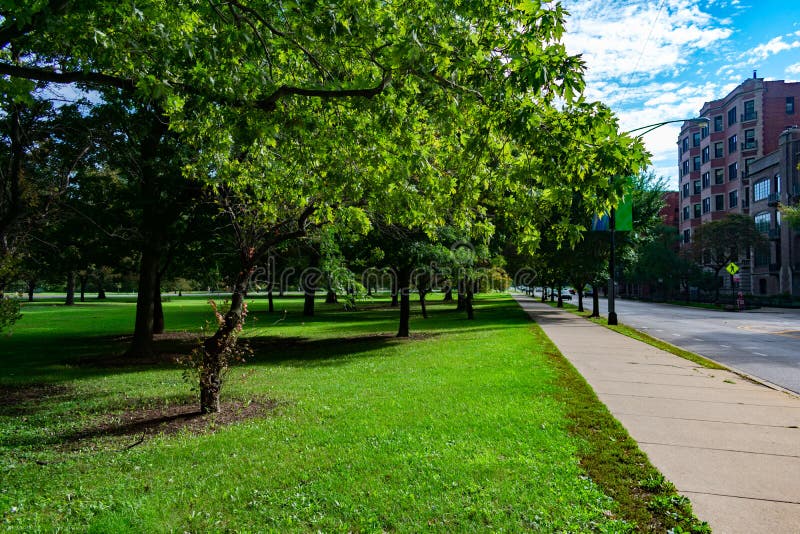 Marciapiede allineato albero in Lincoln Park Chicago immagine stock Marciapiede allineato albero in Lincoln Park Chicago immagine stock