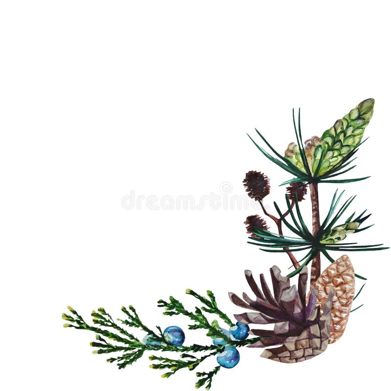 Marco de la esquina de la acuarela que consiste en el pino, ramas del enebro y del aliso y conos del pino ilustración del vector Marco de la esquina de la acuarela que consiste en el pino, ramas del enebro y del aliso y conos del pino ilustración del vector