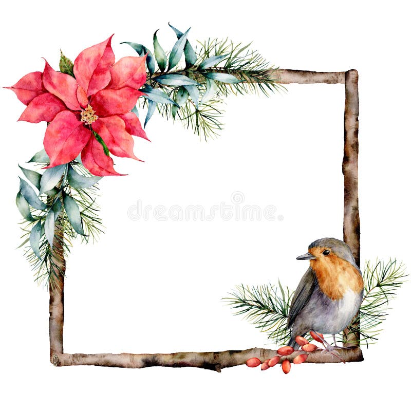 Marco de la Navidad de la acuarela con la decoración y el petirrojo florales Rama de madera pintada a mano con el poinsetiia, hoj libre illustration Marco de la Navidad de la acuarela con la decoración y el petirrojo florales Rama de madera pintada a mano con el poinsetiia, hoj libre illustration