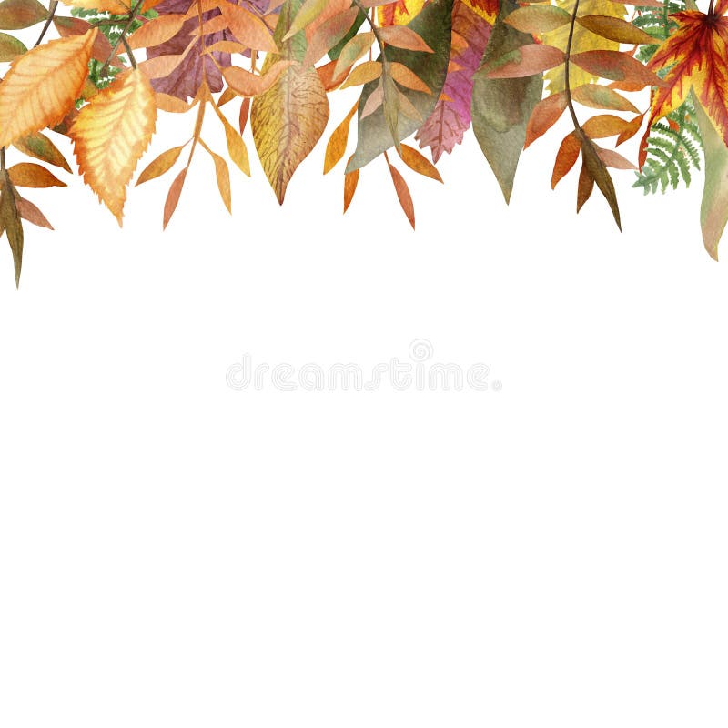 Marco del otoño de la acuarela de las ramas de árbol con las hojas coloridas ilustración del vector Marco del otoño de la acuarela de las ramas de árbol con las hojas coloridas ilustración del vector