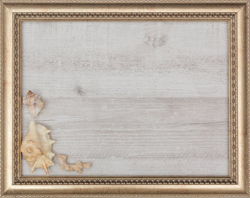 Marco dorado con las cáscaras dentro fotografía de archivo libre de regalías