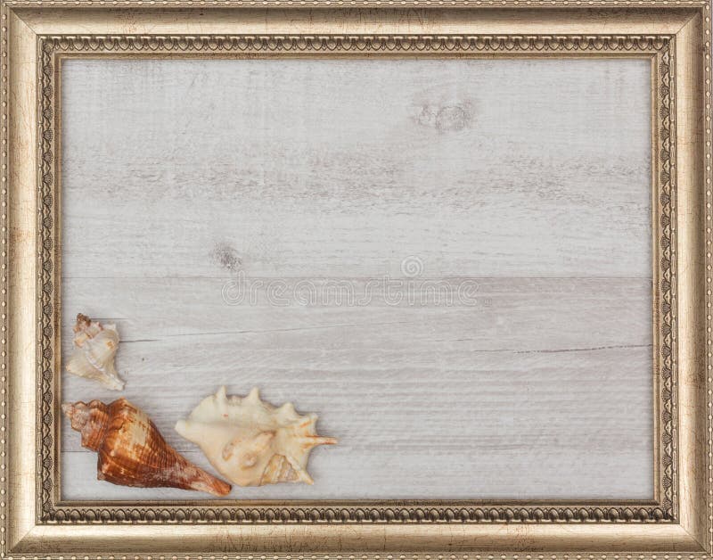 Marco dorado con las cáscaras dentro fotografía de archivo