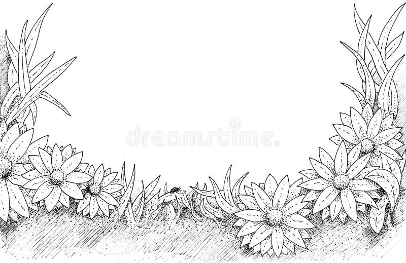 Marco floral ilustración del vector Marco floral ilustración del vector
