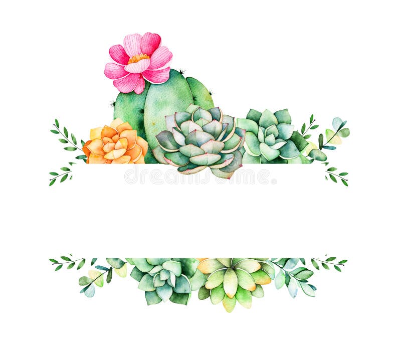 Marco floral colorido con las hojas, la planta suculenta, las ramas y el cactus
