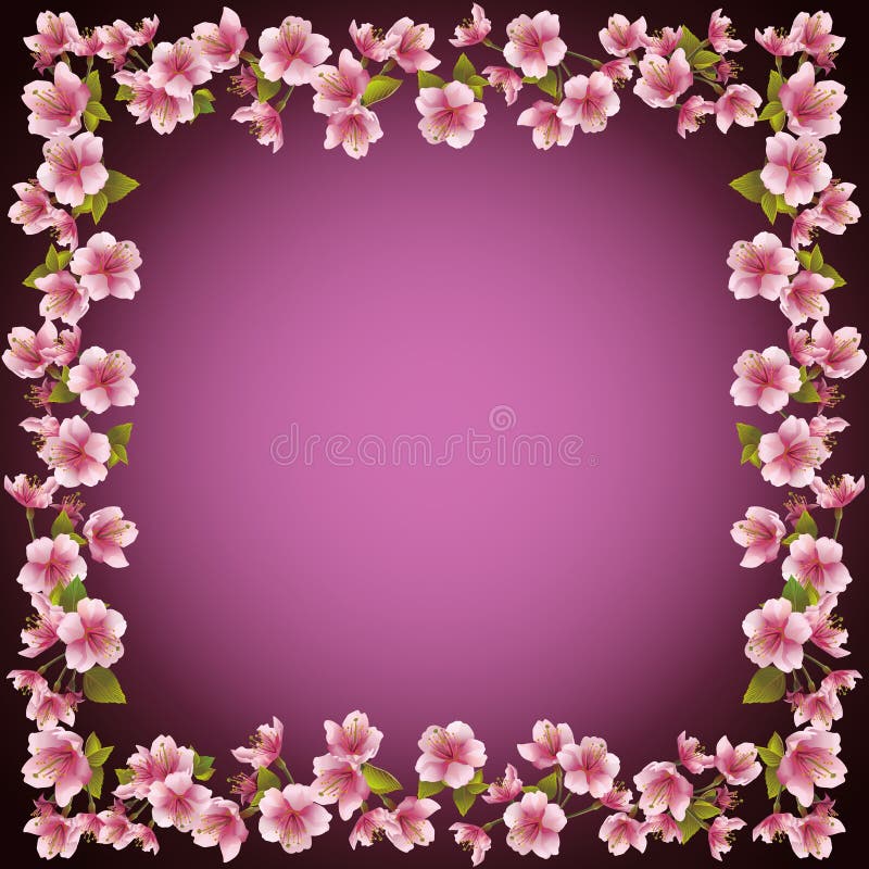 Marco floral, fondo del flor de Sakura, vector ilustración del vector Marco floral, fondo del flor de Sakura, vector ilustración del vector