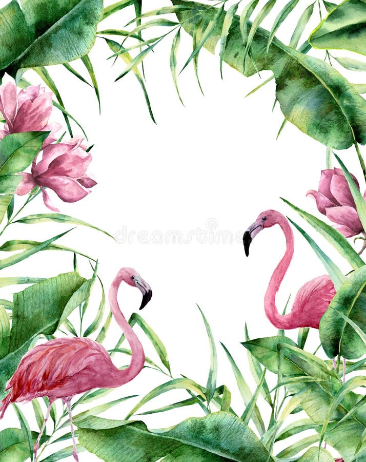 Marco tropical de la acuarela Frontera floral exótica pintada a mano con las hojas de la palmera, la rama del plátano, flores de ilustración del vector Marco tropical de la acuarela Frontera floral exótica pintada a mano con las hojas de la palmera, la rama del plátano, flores de ilustración del vector