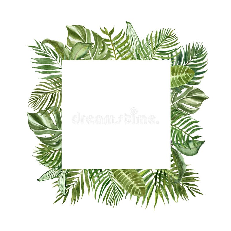 Marco verde tropical del cuadrado del follaje para las tarjetas, banderas Frontera exótica de las plantas y de las hojas del vera