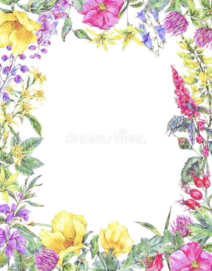 Marco vertical floral medicinal del verano de la acuarela, planta de los Wildflowers stock de ilustración Marco vertical floral medicinal del verano de la acuarela, planta de los Wildflowers stock de ilustración