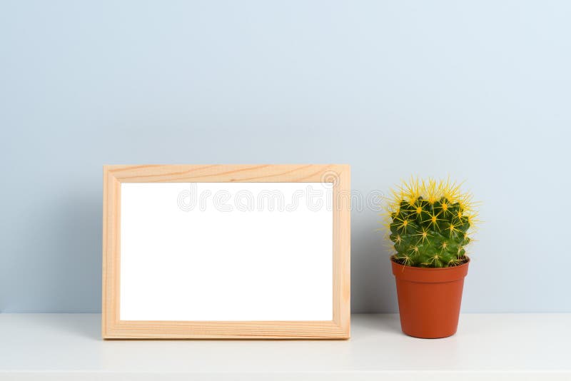 Marco y cactus de madera de la foto imágenes de archivo libres de regalías Marco y cactus de madera de la foto imágenes de archivo libres de regalías
