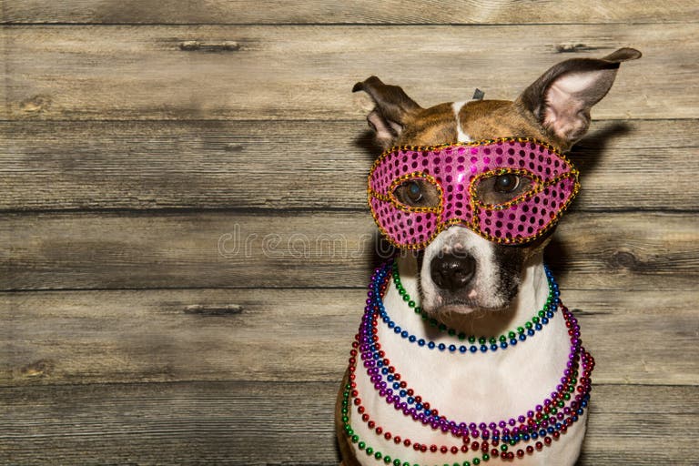 mardi gras period
