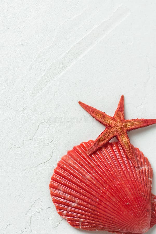 Mare piano rosso Shell Star Fish del cerchio dei semi su fondo di pietra bianco Foto di riserva disegnata moderna minimalista per fotografie stock libere da diritti Mare piano rosso Shell Star Fish del cerchio dei semi su fondo di pietra bianco Foto di riserva disegnata moderna minimalista per fotografie stock libere da diritti