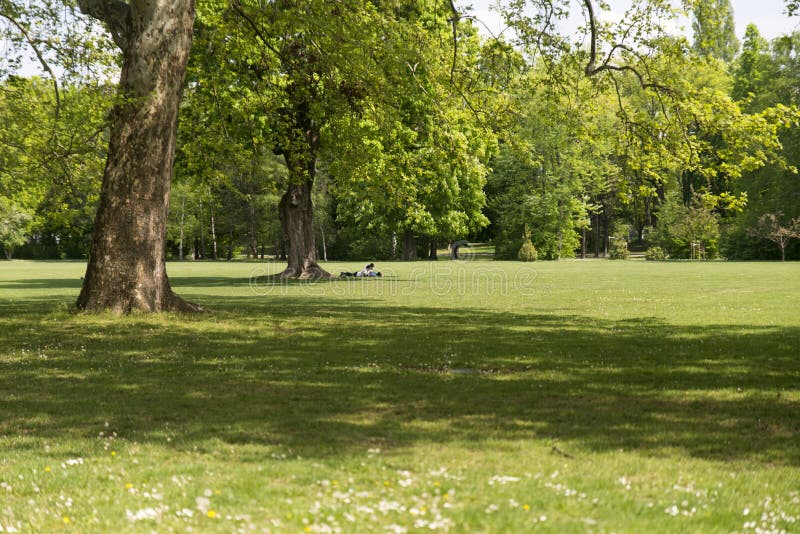 Margaret island editorial image. Image of garden, park 53866005