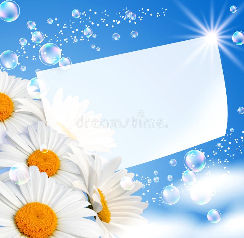 Margaridas de encontro ao céu ilustração stock Margaridas de encontro ao céu ilustração stock