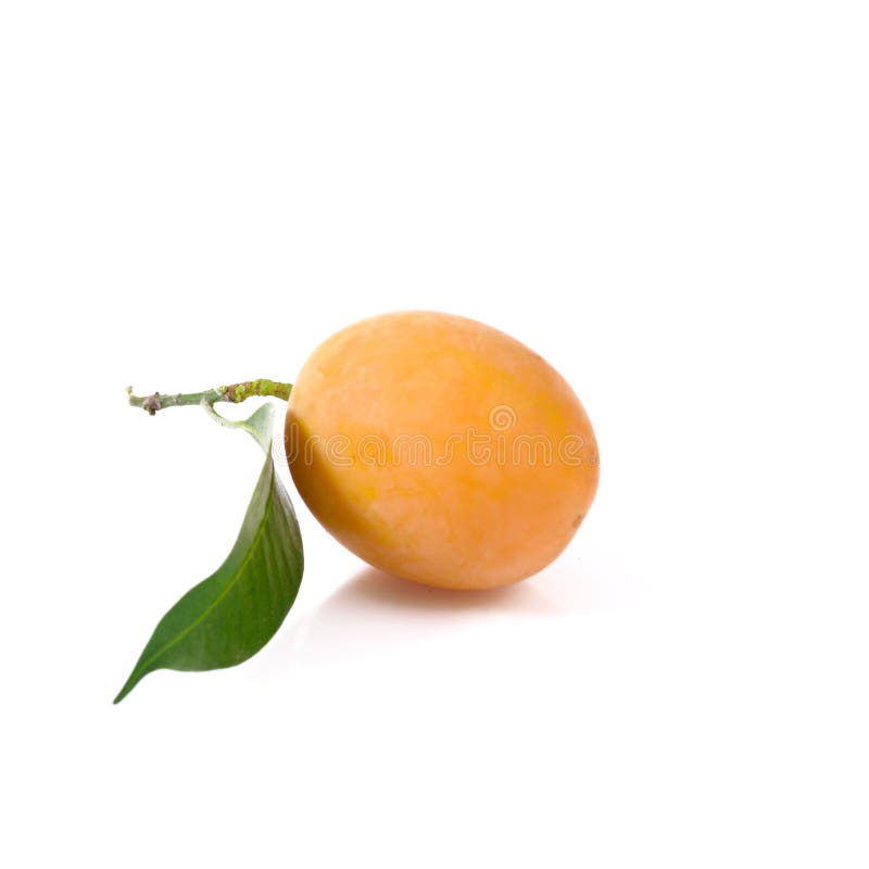 Marian plum or maprang thai fruit isolated on white background royalty free stock photos