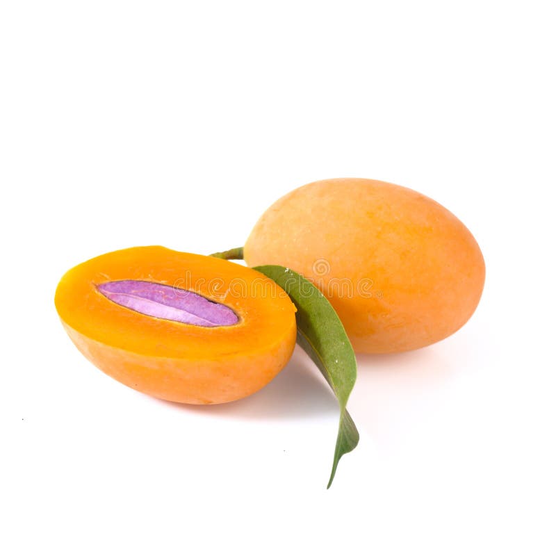 Marian plum or maprang thai fruit isolated on white background stock images