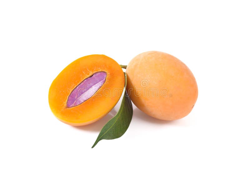 Marian plum or maprang thai fruit isolated on white background stock photo