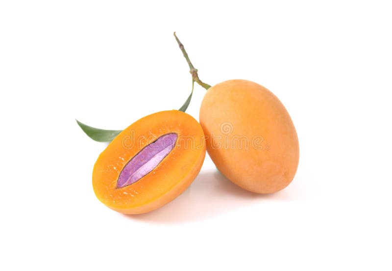 Marian plum or maprang thai fruit isolated on white background royalty free stock photo