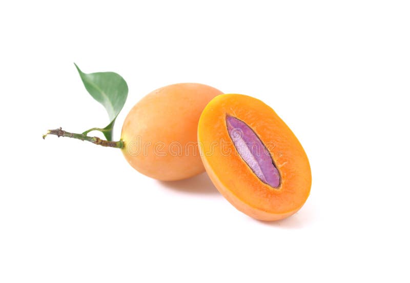 Marian plum or maprang thai fruit isolated on white background stock images