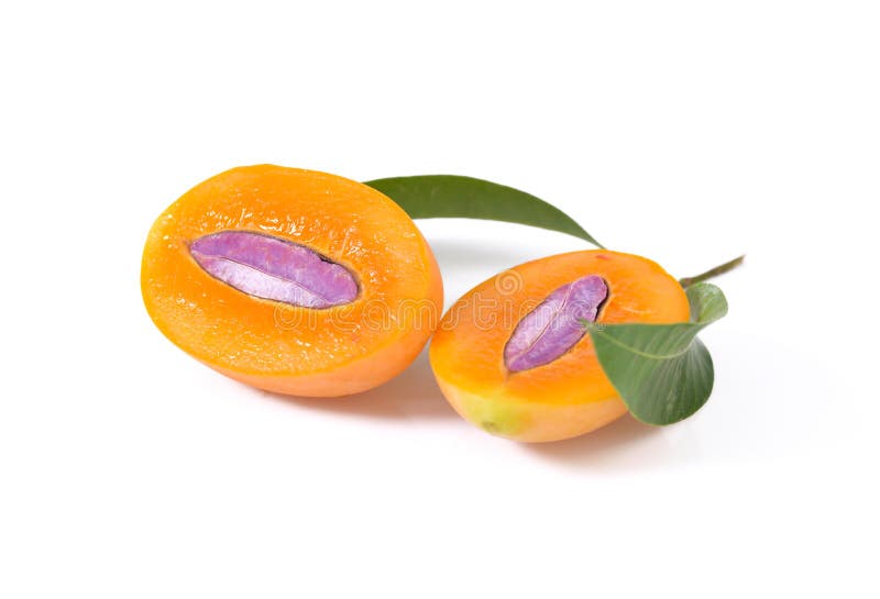 Marian plum or maprang thai fruit isolated on white background stock photo