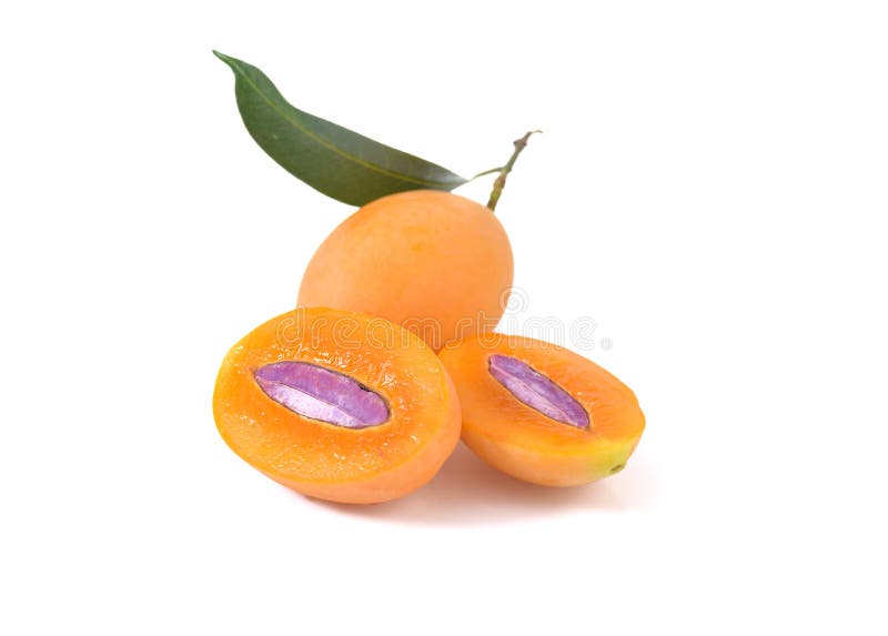 Marian plum or maprang thai fruit isolated on white background stock photos