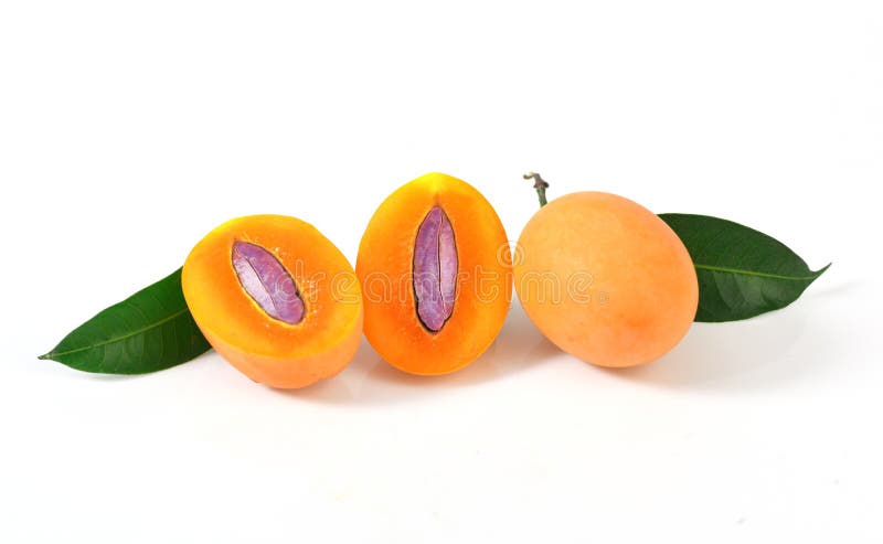 Marian plum or maprang thai fruit isolated on white background royalty free stock photos