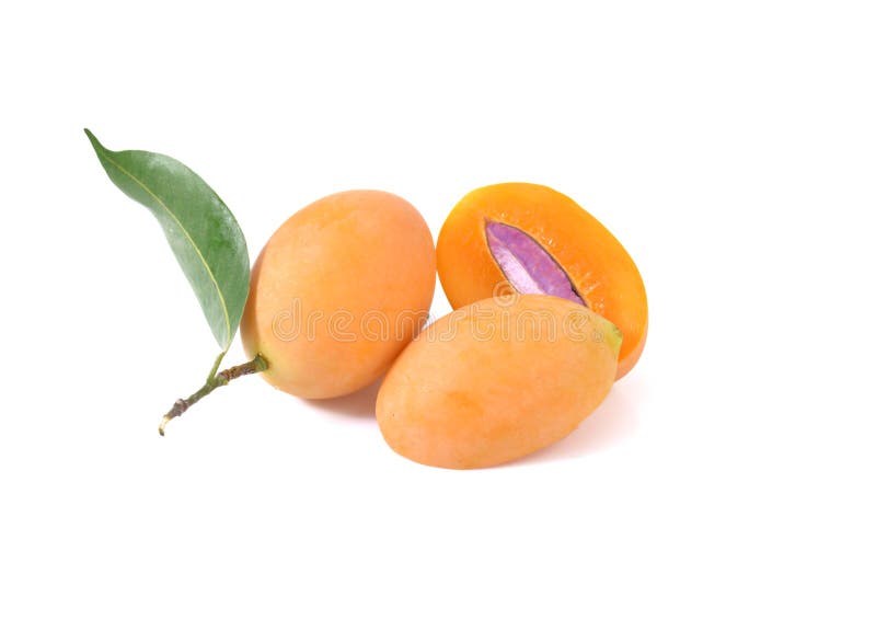 Marian plum or maprang thai fruit isolated on white background stock images
